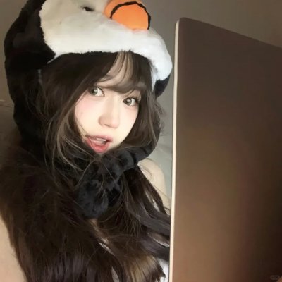 便携门